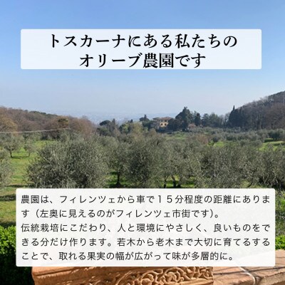 人気NO.1 農家ができる最高品質のEVOO 3本【7月中旬より発送】