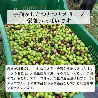 人気NO.1 農家ができる最高品質のEVOO 3本【7月中旬より発送】