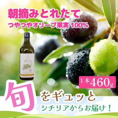 有機栽培 朝摘み シチリア産エキストラバージンオリーブオイル 遮光瓶 1本【12月中旬から発送】