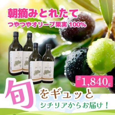 有機栽培 朝摘み シチリア産エキストラバージンオリーブオイル 遮光瓶 4本【12月中旬から発送】