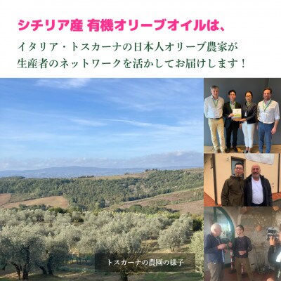 有機栽培 朝摘み シチリア産エキストラバージンオリーブオイル 遮光瓶 4本【12月中旬から発送】