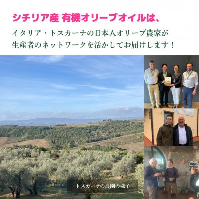有機栽培 朝摘み シチリア産エキストラバージンオリーブオイル 遮光瓶 6本【12月中旬から発送】