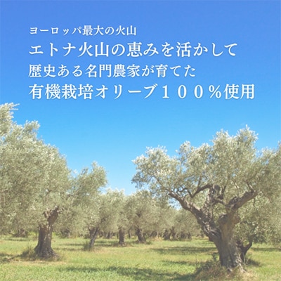 有機栽培 朝摘み シチリア産エキストラバージンオリーブオイル 6本【2026年5月20日頃より発送】