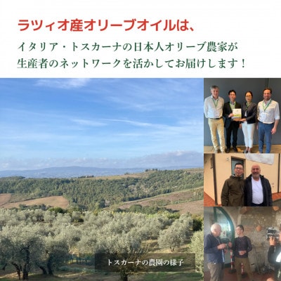 【毎月定期便】朝摘み ラツィオ産エキストラバージンオリーブオイル 450g×6個全6回