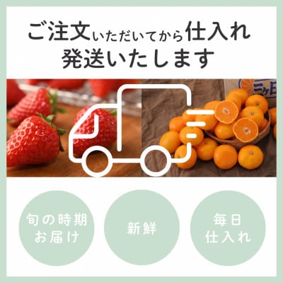 静岡クラウンメロン(白等級)約1.3kg×1個