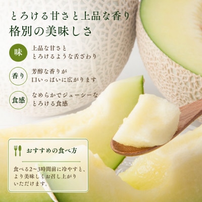 【お歳暮のし付】袋井市クラウンメロン(白等級)約1.3kg×2個