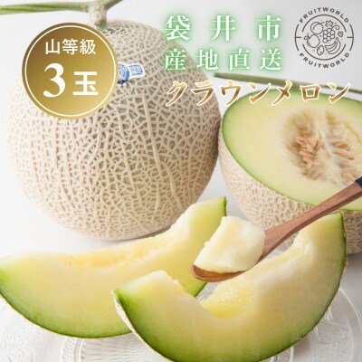 期間限定 2026年5月～6月発送予定 袋井市 クラウンメロン (山等級) 約1.3kg×3個