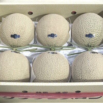 静岡クラウンメロン(白等級)約1.3kg×6個