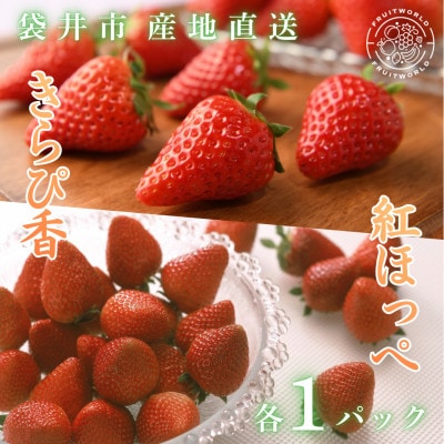 袋井市産 JA遠州中央 いちご食べ比べ 紅ほっぺ きらぴ香 いちご 各1パック