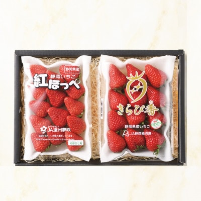 袋井市産 JA遠州中央 いちご食べ比べ 紅ほっぺ きらぴ香 いちご 各1パック