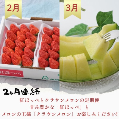 【発送月固定定期便】【2月、3月発送】静岡県袋井市の定期便全2回