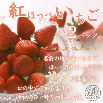 【発送月固定定期便】【2月、3月発送】静岡県袋井市の定期便全2回