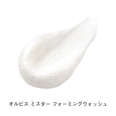 【最短当日発送】オルビス ミスター フォーミングウォッシュ 120g (医薬部外品)