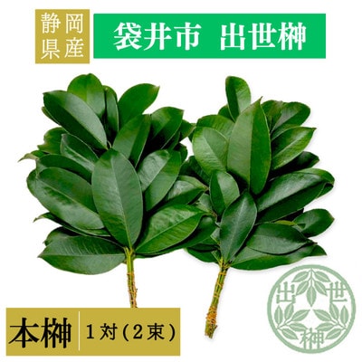 静岡県産袋井市　出世榊　本榊　純国産　さかき1対(2束)※1日交換に間に合うように配送