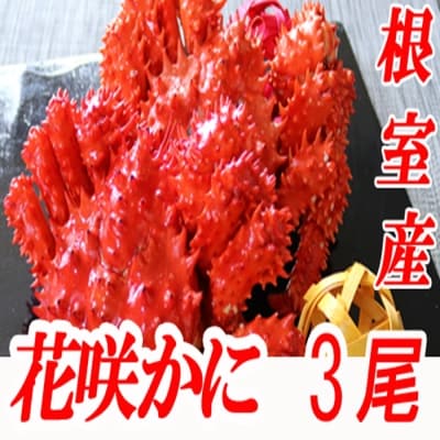 【12/20まで年内配送】★花咲かに400g前後～550g前後×3尾 A-70030 | ふるさと納税のお礼品