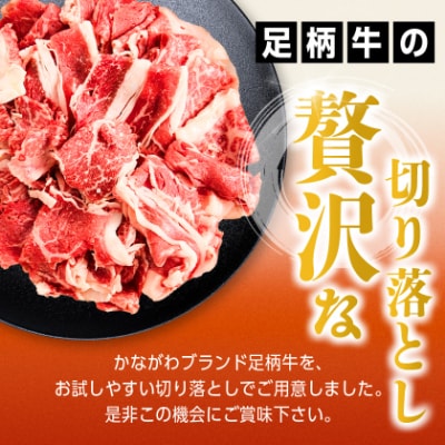 足柄牛【焼肉・しゃぶしゃぶ用】切り落とし500g