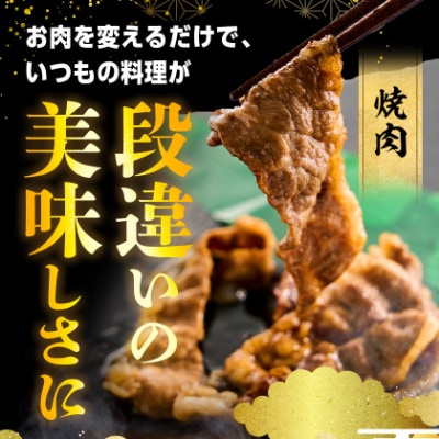 足柄牛【焼肉・しゃぶしゃぶ用】切り落とし500g