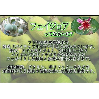 【大井町産フェイジョア使用】ふぇいじょああいす　6個入り