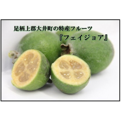 【大井町産フェイジョア使用】ふぇいじょああいす 10個入り