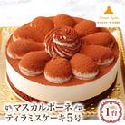 マスカルポーネティラミスケーキ