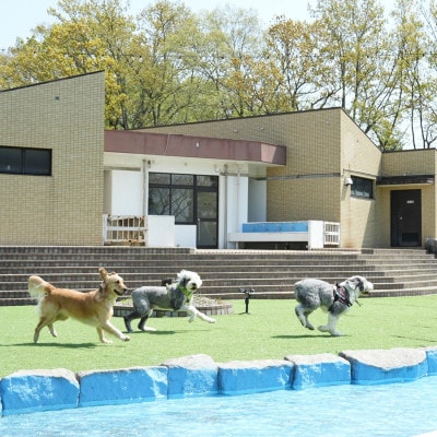 6DOGRUNHOTEL　1泊2日食事付　ドッグランプラン/2名様宿泊券