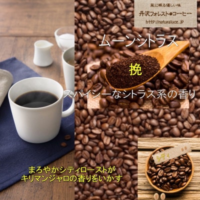 丹沢フォレスト甘味焙煎珈琲豆(挽) 3種
