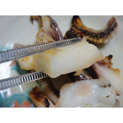 【熱海ブランド】網代産　朝獲れ　あおりいかの一夜干し　2枚