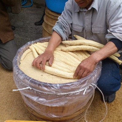 【季節限定】七尾たくあん浅次郎漬　3種類食べ比べ小箱　(無添加)　岸浅次郎商店　熱海　ふるさと納税