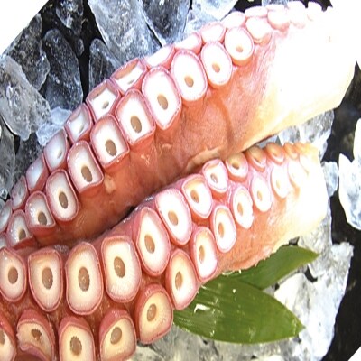 【12/20まで年内配送】★お刺身用たこ足2本(計2～2.5kg) C-70068