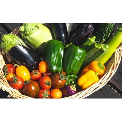 【発送月固定定期便】『旬なお野菜をお届け!』約10種類お野菜詰め合わせセットをお届けします!全2回
