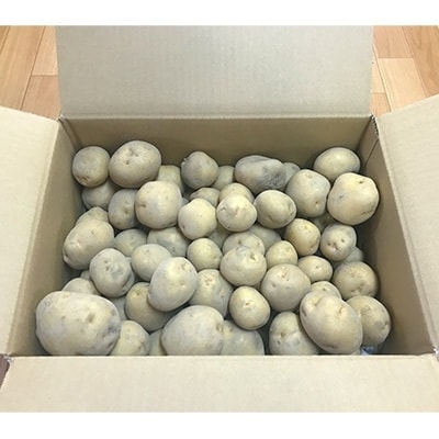 2022年9月発送開始『定期便』北海道産じゃがいも　北あかり10kg(岸田農園産)【212】全2回