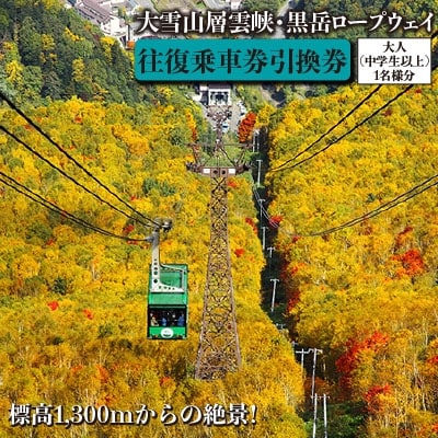 大雪山層雲峡・黒岳ロープウェイ　往復乗車引換券　大人(中学生以上)1名様【301】