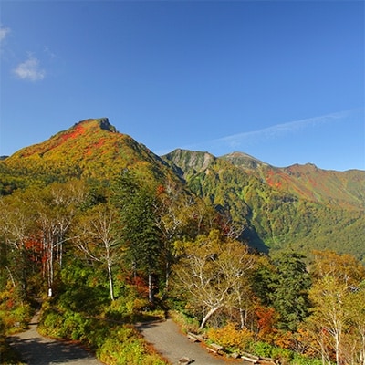 大雪山層雲峡・黒岳ロープウェイ　往復乗車引換券　大人(中学生以上)1名様【301】