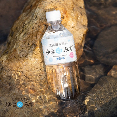 北海道大雪山　ゆきのみず　550ml×24本入り 【2ケース計48本】【622】