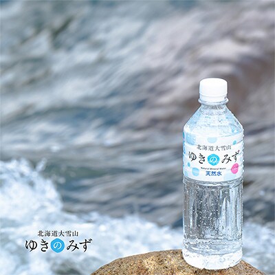 【毎月定期便】北海道大雪山　ゆきのみず　550ml×24本入り 【2ケース計48本】【631】全2回