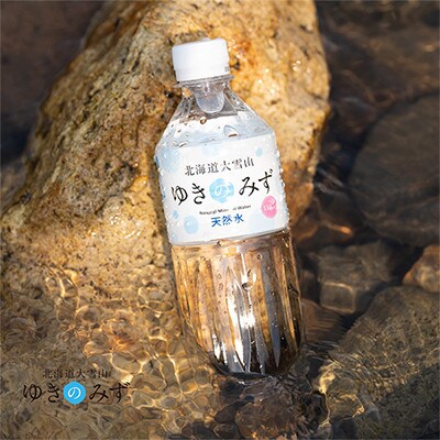 【毎月定期便】北海道大雪山　ゆきのみず　550ml×24本入り 【2ケース計48本】【631】全2回