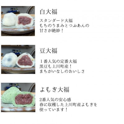 【北海道上川町】もちごやマム 手づくり大福ギフトボックス 6種類12個入り