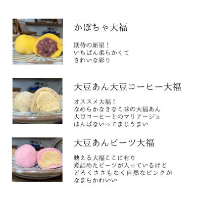 【北海道上川町】もちごやマム 手づくり大福ギフトボックス 6種類12個入り