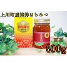 北海道上川町産　純粋はちみつ600g×1本(百花はちみつ)【1302】
