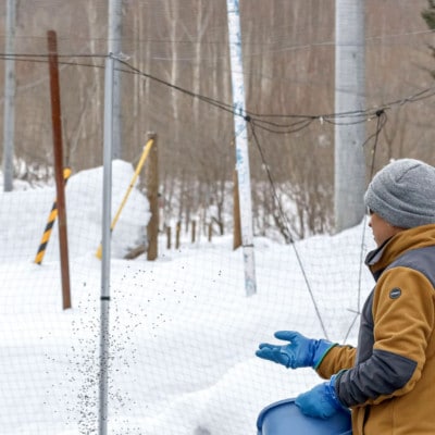 【北海道大雪サーモン 鮭味噌】160g ご飯のお供や酒の肴に ゴロっと鮭、ほぼ鮭!な贅沢な瓶詰め