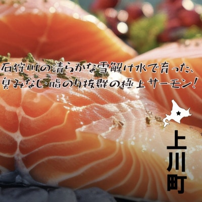 上川町産サーモン粕汁250g 上川大雪酒造の純米大吟醸酒粕使用 上川町産鮭×酒粕×根菜のごちそう汁