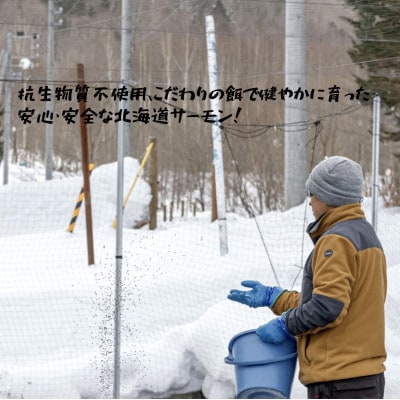 【北海道大雪サーモン 鮭味噌】160g×3 ご飯のお供や酒の肴に ゴロっと鮭、ほぼ鮭!な贅沢な瓶詰め