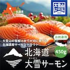 【毎月定期便】大雪山連峰の雪どけ水で育てた北海道大雪サーモン刺身用450g約150g×3個程度全9回