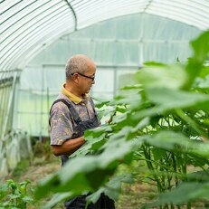 下北山村の冬野菜おすそわけセット(6~9種類程度)