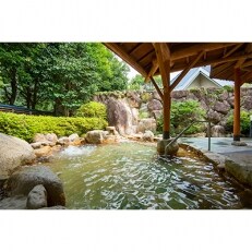 下北山温泉きなりの湯　入浴券　5枚セット | ふるさと納税のお礼品