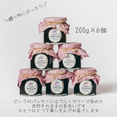 先行受付 2025年9月～発送 としちゃんのブルーベリージャム200gx6個 栽培期間中農薬不使用