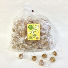 大容量!奈良下北山村育ちのジャバラ飴1kg　 | ふるさと納税のお礼品