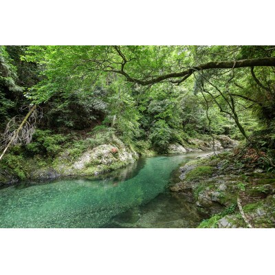 奈良 下北山村 一棟貸し宿 山の家 晴々  haru ∞ baru  ペア宿泊券 素泊まり 1泊2日