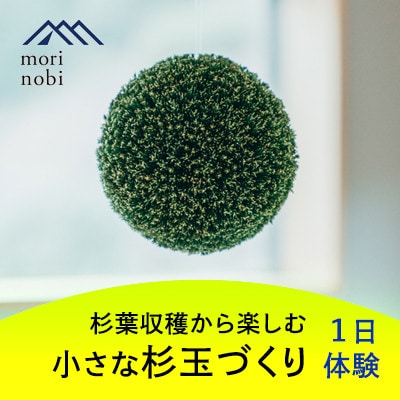 森のめぐみをてのひらに下北山の森でつくる「小さな杉玉」体験