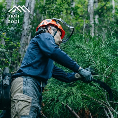森のめぐみをてのひらに下北山の森でつくる「小さな杉玉」体験